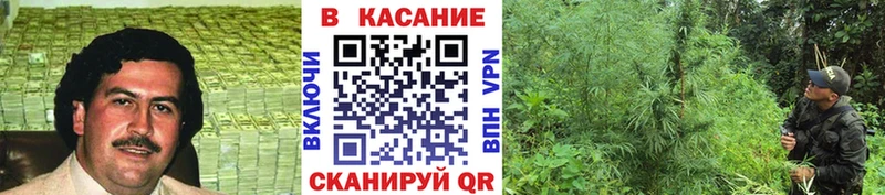 Сколько стоит Калачинск Псилоцибиновые грибы  Мефедрон  АМФЕТАМИН  Гашиш  Марихуана 