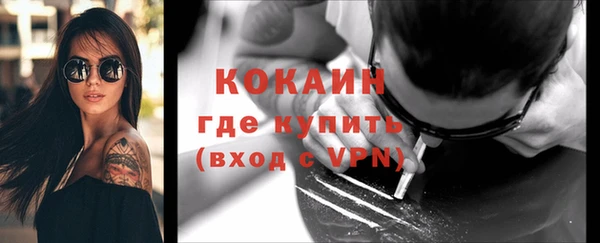 гашик Михайловка