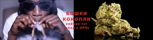 гашик Михайловка