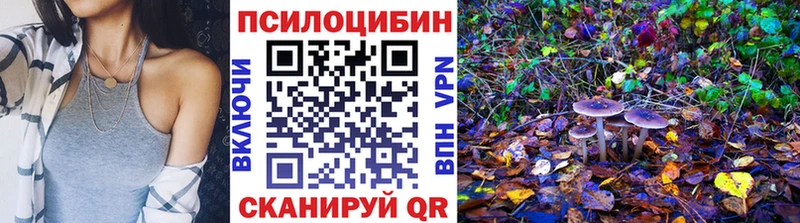 Псилоцибиновые грибы Cubensis  Калачинск 